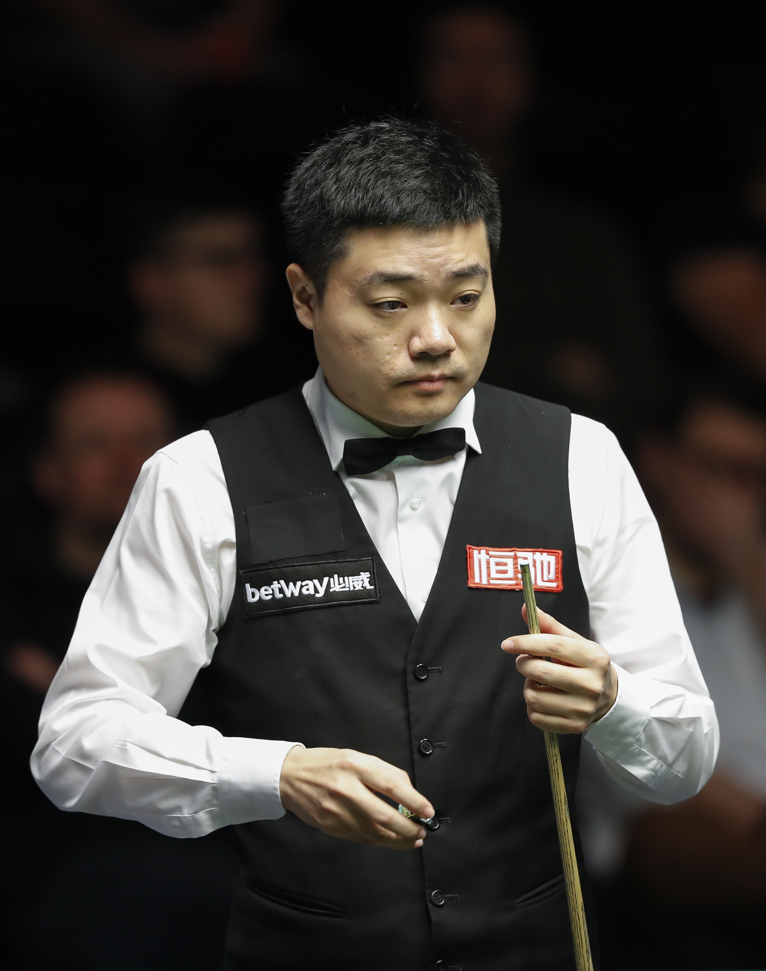 尔图瓦的替 尔图瓦的替