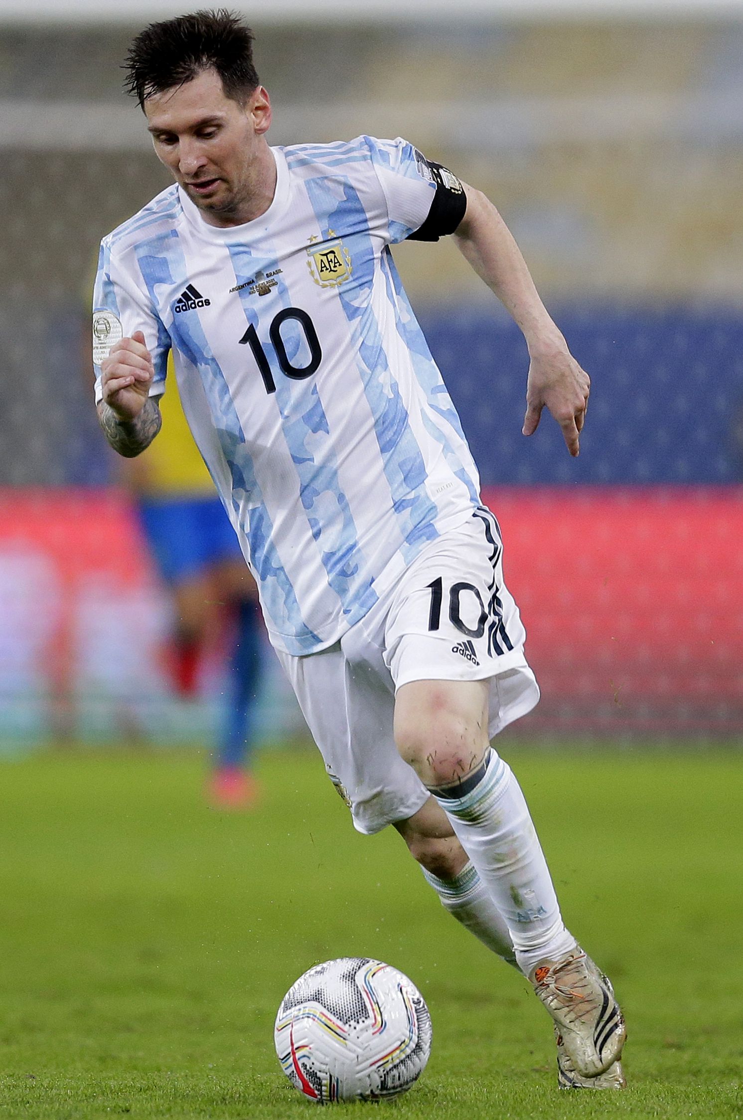 逆袭灰熊的 逆袭灰熊的