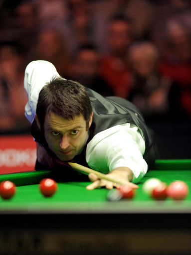 互相学习的 互相学习的